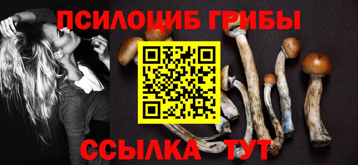 Галлюциногенные грибы MAGIC MUSHROOMS  Вход с VPN  Тавда  Галлюциногенные грибы Cubensis 
